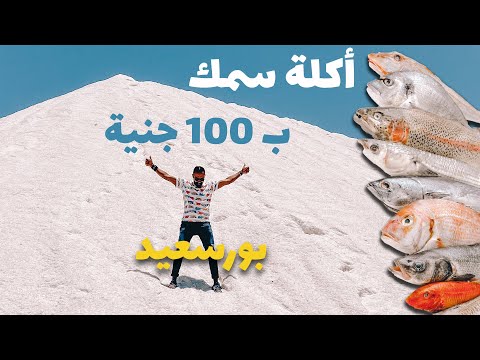 ازاي تقضي يوم كامل في بورسعيد !!؟ 2026
