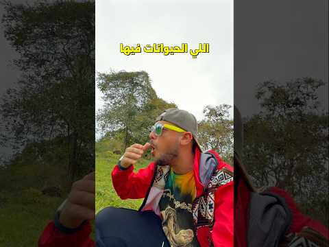 الحيوانات هنا لا تخاف البشر 🤯 2026