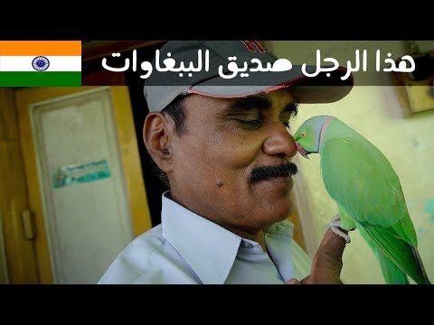 كل يوم يطعم ٥٠٠٠ ببغاء! 🦜 صديق الببغاوات في تشيناي 2026