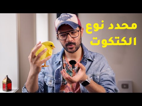 نائم محترف ولا متزحلق؟ اغرب الوظائف في العالم 2026