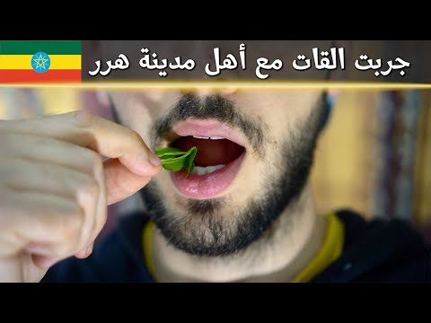 جربت القات لأول مرة مع أهل هرر 🍃 2026