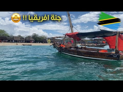 جزيرة زنجبار مالديف افريقيا !! 2026