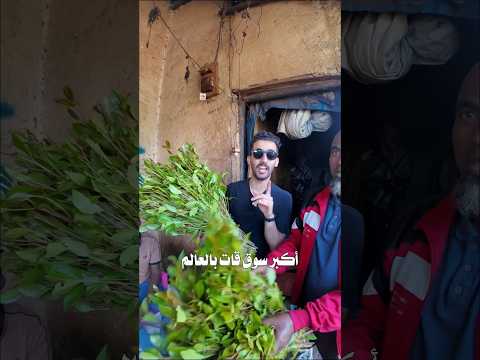 زيارة اكبر سوق قات بالعالم في الحبشة🇪🇹 2026