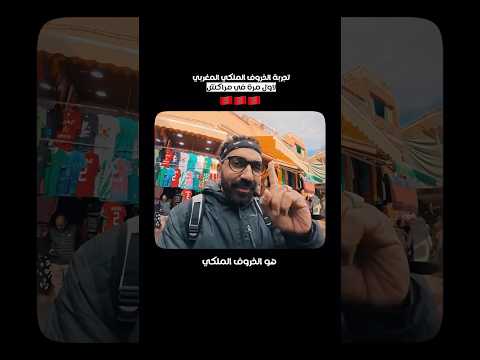تجربة الخروف الملكى المغربى لأول مرة فى مراكش !! 🇲🇦 2026