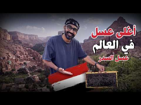 وصلت لأغلي عسل في العالم عسل السدر اليمني الأصلي !! 2026