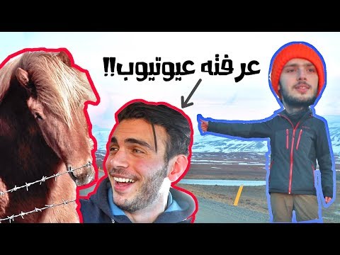 لقينا عربي يشحد توصيلة في آيسلندا 2026