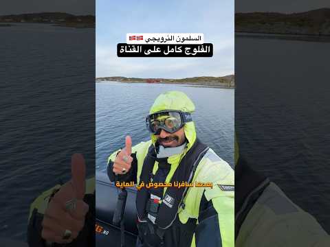 ازاي النرويج بتعمل مليارات الدولارات من السلمون !! – شوف الفلوج كامل على القناة 2026