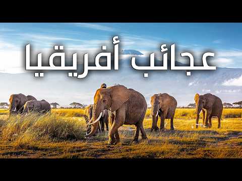 أفريقيا الجميلة: وثائقي يستعرض أجمل وأروع أماكن وحيوانات القارة 2026