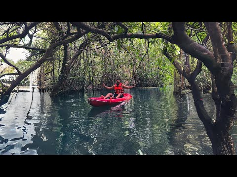 عملت تجديف بمركب صغير في نهر في أدغال تايلاند 🛶🇹🇭 2026