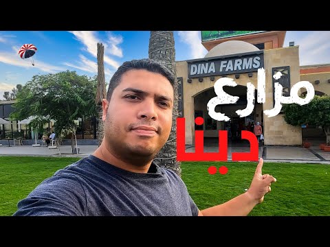 مزارع دينا مش مجرد ريست أول مطعم فطائر وماركت منتجات مزارع على طريق مصر إسكندرية الصحراوي 2026