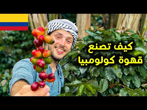 كيف تصنع القهوة في كولومبيا 🇨🇴🌴 2026