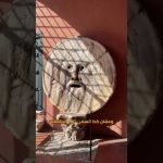 اللي هيكدب هيتعض .. أغرب تمثال في روما!! 2026