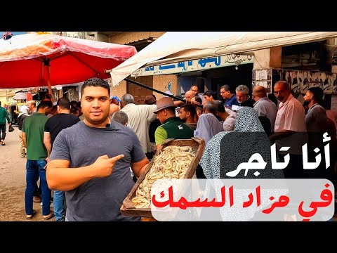 سوق سمك المعدية إسكندرية عمرك جربت تدخل مزاد تشتري سمك وسط التجار؟ هل فعلاً أرخص ولا مقلب ؟ 2026