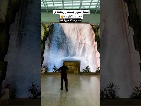 مطار سنغافورة مبيهزرش !!😍 2026