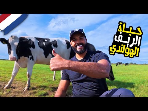 قررت أعيش في الريف الهولندي 😍 2026