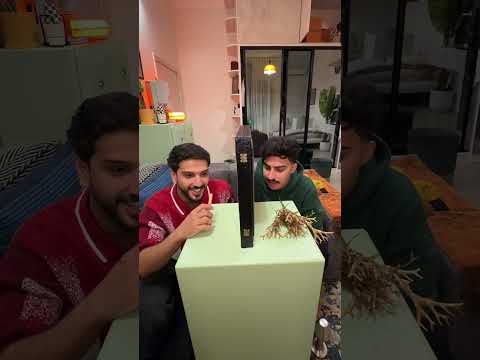 احكمو انتم ! فرشه ولا فرشاة !؟؟ 2026