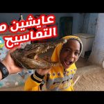 عايشين مع التماسيح في البيت 😱 بيوت النوبه فى غرب سهيل 😍جمال وروقان فوق الوصف 2026