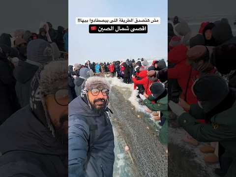 هنا الصيد مش اختيار، ده ضرورة للعيش!! 2026