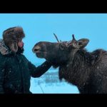 أغرب وأخطر حيوان في غابات سيبيريا | سافرت مخصوص عشان اشوفه عن قرب #طاهرمسافر 🦅 2026