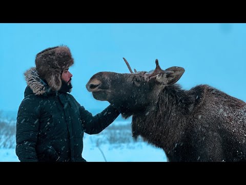أغرب وأخطر حيوان في غابات سيبيريا | سافرت مخصوص عشان اشوفه عن قرب #طاهرمسافر 🦅 2026