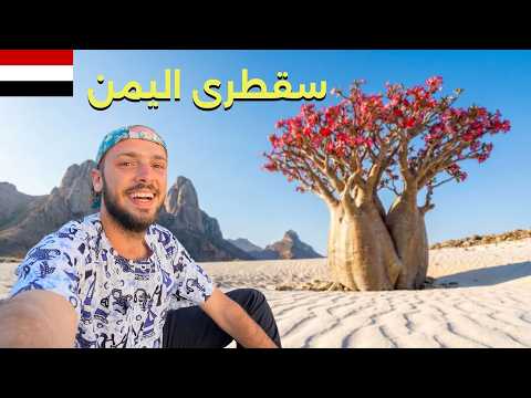 ٧ أيام في أجمل جزيرة عربية 🇾🇪 رحلة سقطرى كاملة 2026