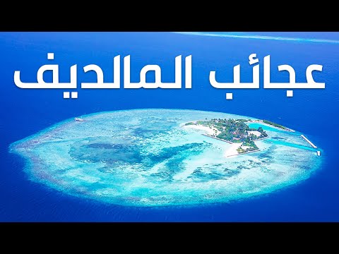 المالديف: جولة في عالم لا يُشبه الواقع – مناظر ساحرة كأنها من عالم آخر 2026