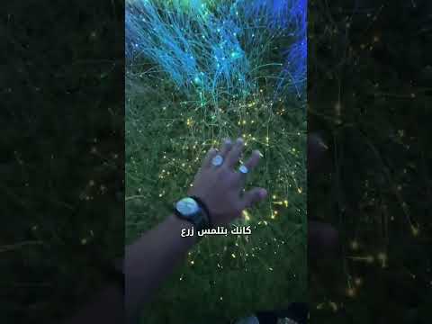 دبي – المكان ده من عالم تاني 🇦🇪🇦🇪 2026