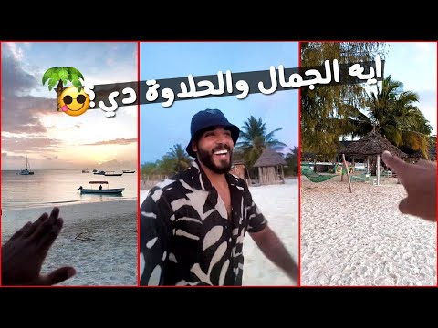 اتفرجوا علي جمال شواطيء زنزيبار😍ما الأجمل؟! شواطئ زنزيبار ام شواطئ المالديف ؟🌍✈️ 2026