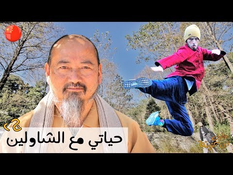 حياتي مع الشاولين 2026