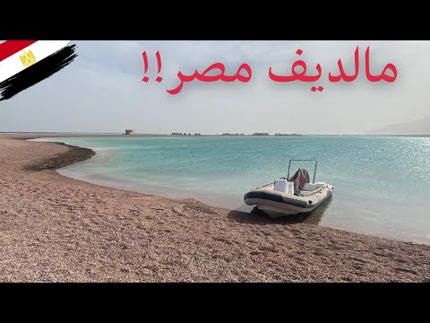تخييم في مدينة دهب 2026