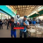 أغرب وأرخص سوق في أوزبكستان مش هتصدق بيبيعوا ايه أنا اتصدمت ⚠️😳 2026