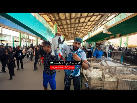 أغرب وأرخص سوق في أوزبكستان مش هتصدق بيبيعوا ايه أنا اتصدمت ⚠️😳 2026