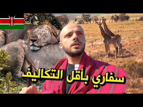 كيف تعمل سفاري رخيص في أفريقيا؟ 2026