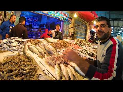 سوق السمك الجديد فى بورسعيد واسعار السمك 🔥 2026