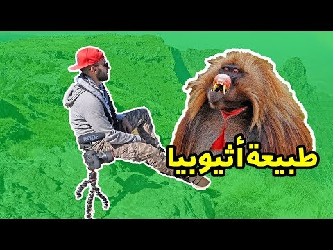 فاجأتني الطبيعة في الحبشة !! Simien Mountains 2026