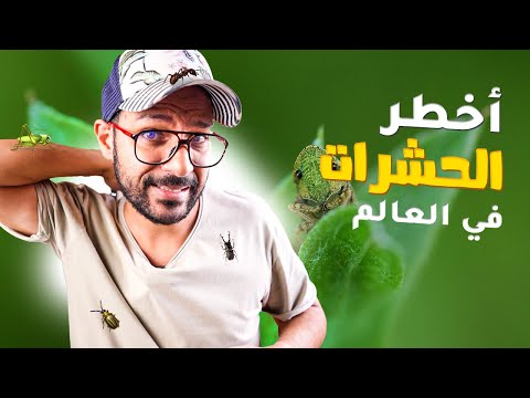 🔴 اخطر الحشرات في العالم 🐜 2026