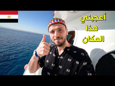 أعجبتني هذي التجربة في مصر 🇪🇬 مرسى علم 🐬 2026