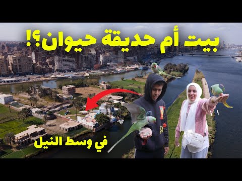أغرب بيت في مصر داخل جزيرة في النيل … شفت حيوانات عمري ما شوفتها في حياتى 2026