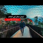 أنا في غابه ولا في مطار ؟!!😳 تقدر تخيم في المطار دا 2026