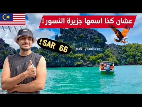 أرخص واشهر رحلة بحرية في لنكاوي – Mangrove Tour Langkawi 2026