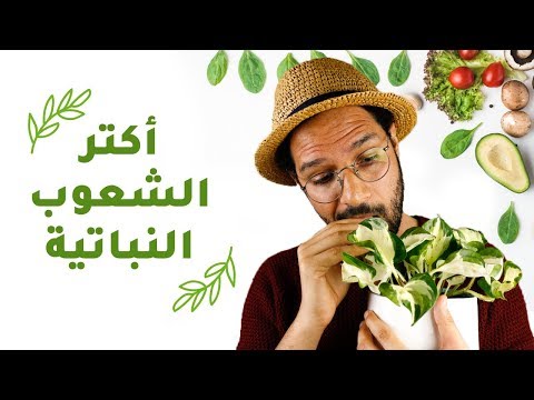 اكتر 5 دول نباتية 2026
