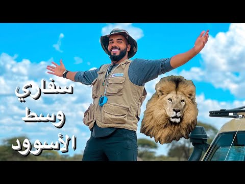 مغامرة قويه وسط الأسود والحيوانات في أدغال أفريقيا ❤️🔥 2026