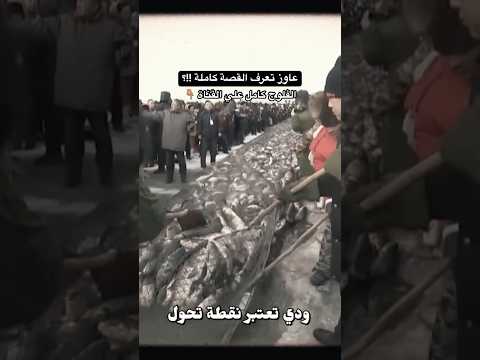 كنز الصين تحت الجليد !!؟ 2026