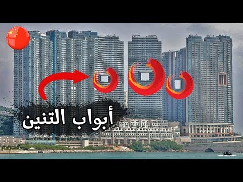 شو قصة التنانين في هونج كونج ؟ 2026