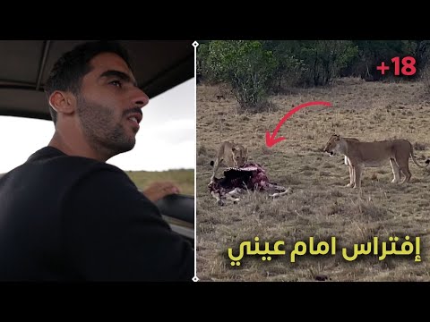 رحلة سفاري في كينيا 2026