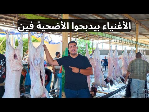 دبحت الأضحية في المزرعة في نص ساعة 2026