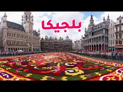 بلجيكا 2026