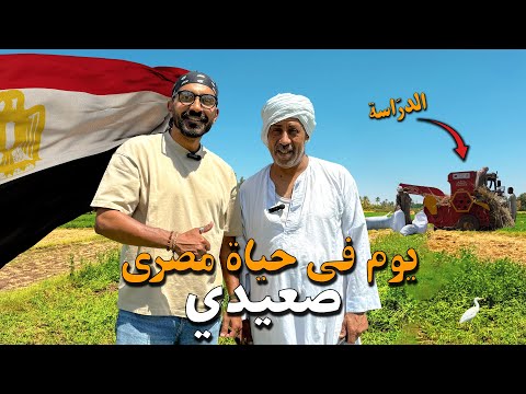 موسم حصاد القمح في صعيد مصر !! 2026