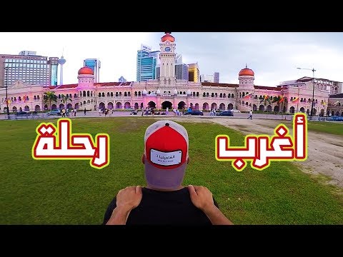 سديم 2026