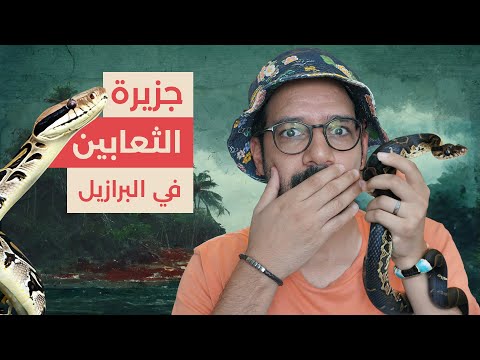 جزيرة الثعابين! أخطر مكان على وجه الأرض! 2026